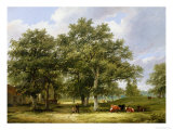 Buy Cattle Grazing at AllPosters.com