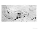 Study for the Grande Odalisque