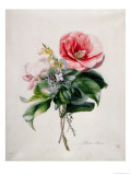 Buy Camellia and Broom at AllPosters.com