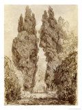 Buy Large Cypresses at the Villa D'Este at AllPosters.com