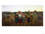 Calling in the Gleaners, 1859