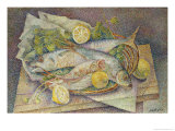 Buy Still Life of Fish at AllPosters.com