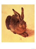 Buy Hare, 1502 at AllPosters.com