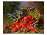 Buy Still Life with Strawberries and Bluetits at AllPosters.com