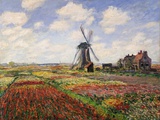 Tulip Fields with the Rijnsburg Windmill, 1886