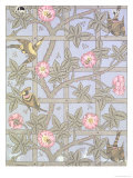 "Trellis" Wallpaper Design, 1864