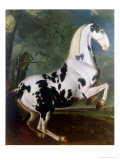 Buy The Piebald Stallion at the Eisgruber Stud at AllPosters.com