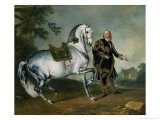 The Dappled Horse "Scarramuie" En Piaffe