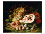 Still Life of Fruit on a Ledge