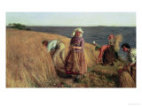 Buy The Harvest at AllPosters.com