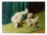 Buy White Persian Cat with Two Kittens at AllPosters.com