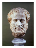 Marble Head of Aristotle (384-322 BC )