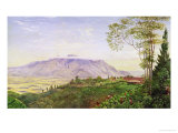 Buy Tea Gathering in Mr. Hoelle's Plantation at Garoet, Java, circa 1875 (Board) at AllPosters.com