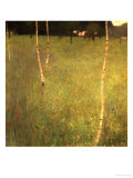 Farmhouse with Birch Trees (Bauenhaus Mit Birken)