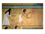 Detail of a Harvest Scene on the East Wall, from the Tomb of Sennedjem, the Workers' Village
