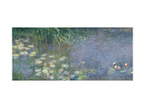 Waterlilies: Morning, 1914-18 (Left Section)