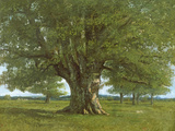 The Oak of Flagey, Called Vercingetorix