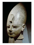 Colossal Head of Amenhotep III, from Al-Qurnah, New Kingdom (Pink Granite)