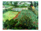 Field of Poppies, Saint-Remy, c.1889