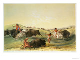 Buffalo Hunt, Plate 7 from Catlin's North American Indian Collection, by Mcgahey, Day and Haghe