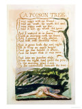 A Poison Tree, from Songs of Experience