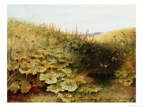 A Quiet Dell