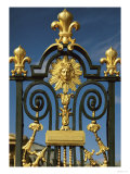 Detail of the Grille D'Honneur of Fleur De Lys and the Emblem of Louis XIV (1638-1715)