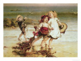 Sea Horses