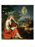 Buy The Vision of St. John the Evangelist on Patmos at AllPosters.com