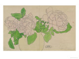 Chrysanthemums, circa 1900