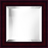 12 x 12 Framed Mirror