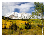 Fall in Colorado