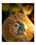 Buy The Best of Two Cultures at AllPosters.com