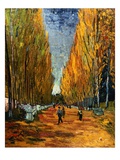 Avenue of The Elysian Fields