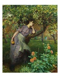 Buy Autumn at AllPosters.com