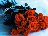 Buy Bouquet of Roses at AllPosters.com