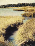 Cape Cod Tidelands