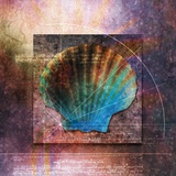 Colorful Clam Shell and Geometry
