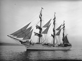 Buy Danish Schooner Danmark at AllPosters.com