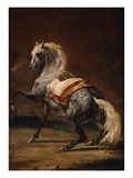 Dappled Grey Horse Giclee Print