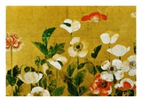 Detail of Poppies Edo Period Screen