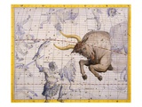 The Constellation of Taurus the Bull and Orion by James Thornhill
