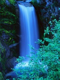 Christine Falls