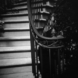 Floral Motif Railing Along a Stairway