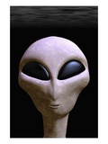 Buy Face of an Extraterrestrial Alien at AllPosters.com