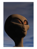 Face of an Extraterrestrial Alien