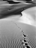 Buy Footprints on Desert Dunes at AllPosters.com