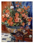 Geraniums and Cats
