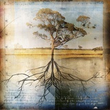 Graph of Tree and Roots