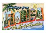 Greetings from Florida, "The Land of Sunshine"